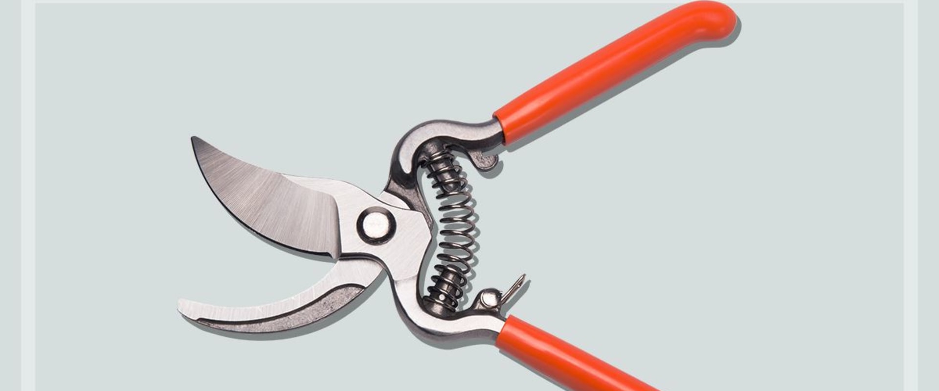 Pruners and Shears: A Comprehensive Overview