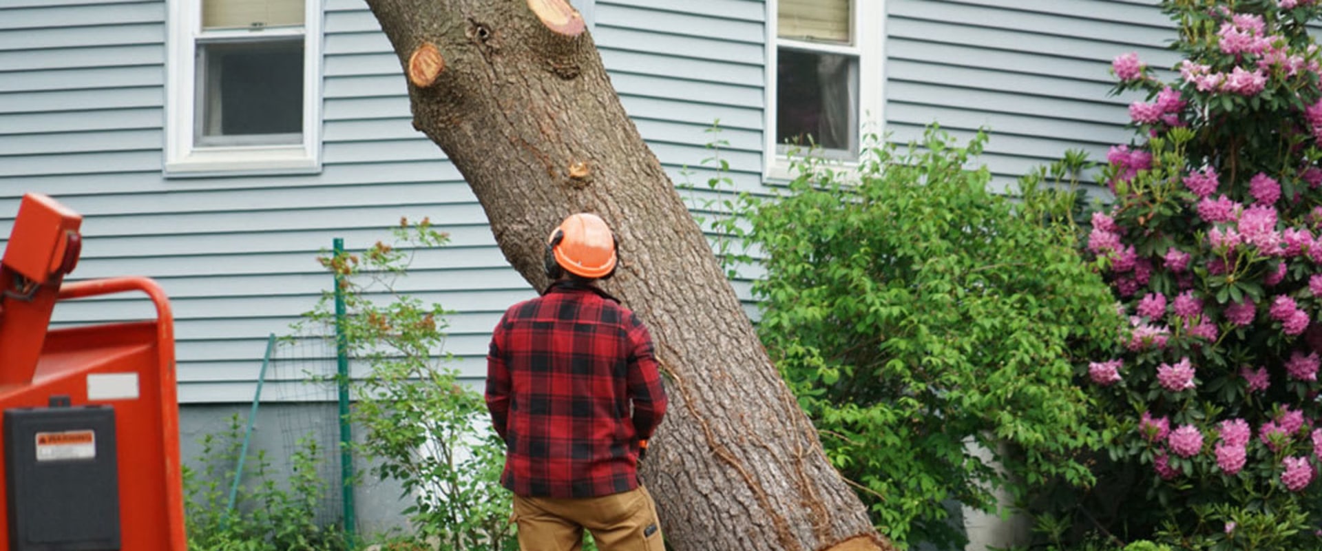 The Average Cost of Tree Cutting