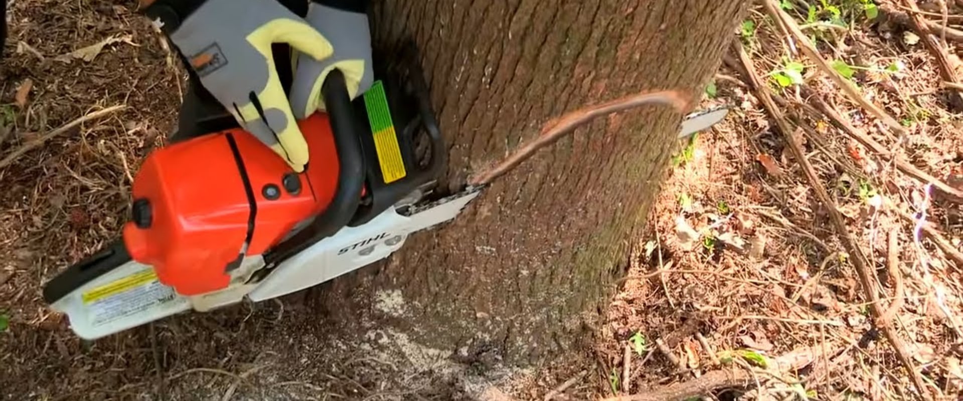 Felling a Tree Safely