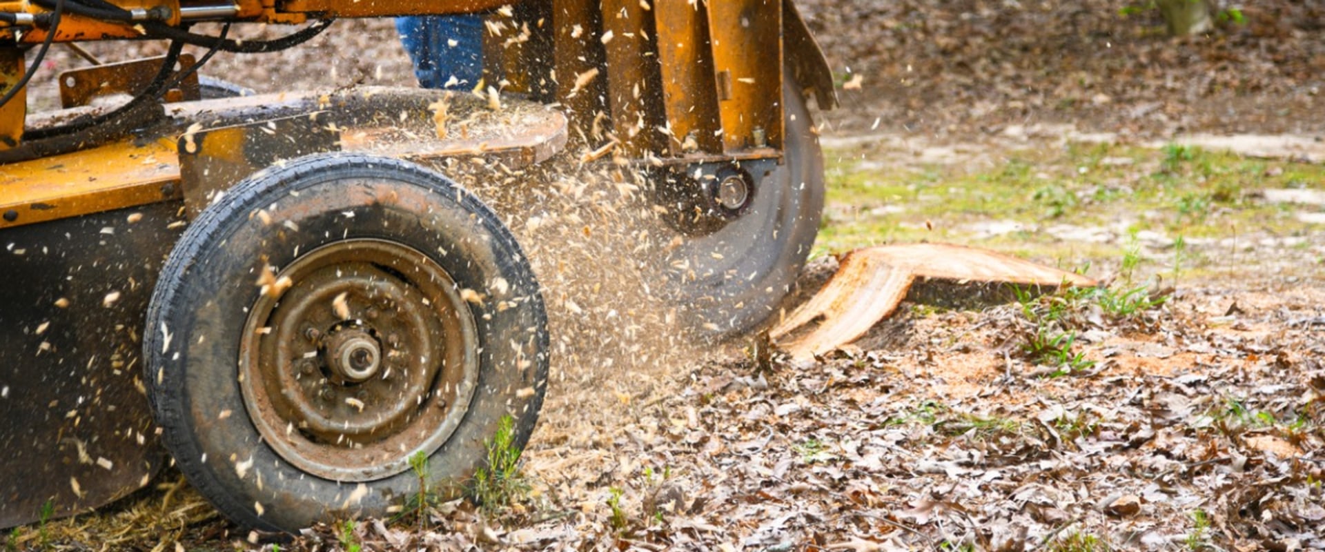 Factors Affecting Stump Grinding and Removal Costs