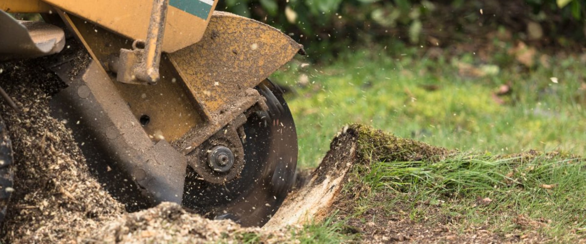Stump Grinding and Removal: Exploring a Tree Removal Process
