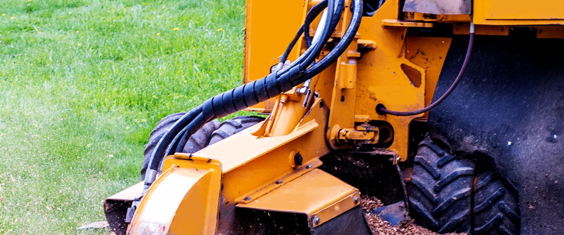 Safety Equipment for Stump Grinding and Removal Services
