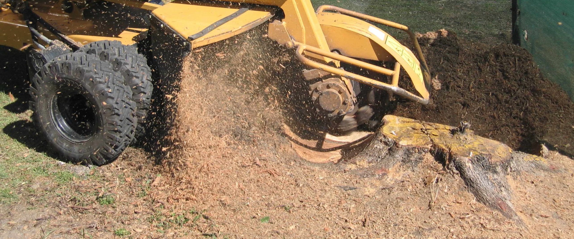 Cost of Stump Grinding and Removal
