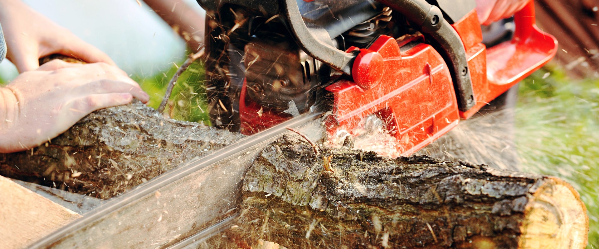 Chainsaws: The Essential Tool for Tree Removal