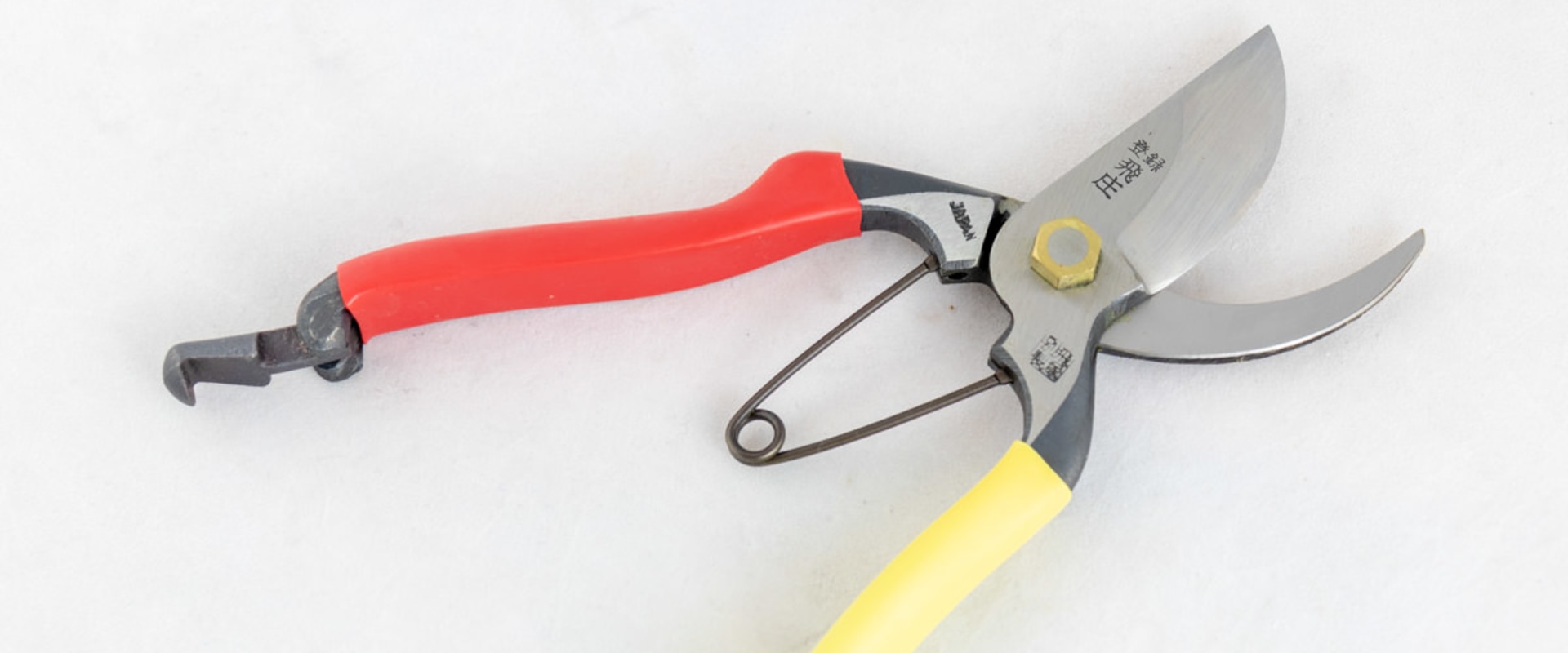 Pruners and Shears: An Overview