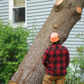 Cutting Down Trees in Small Spaces