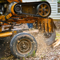 Tips for Reducing Stump Grinding and Removal Costs
