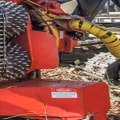Selecting the Right Equipment for Tree Removal