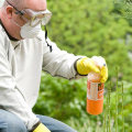 Insecticides for Trees: What You Need to Know