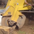 Stump Grinders and Chippers: Understanding Equipment for Stump Grinding and Removal Services