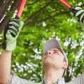 Evaluating a Tree Service Company's Work to Ensure Customer Satisfaction