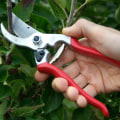 Lopping Shears and Saws: An Overview