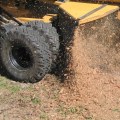 Cost of Stump Grinding and Removal
