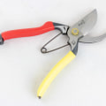 Pruners and Shears: An Overview