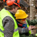 Preparing for Tree Removal: Safety and Preparation