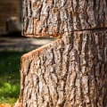 Factors That Affect Tree Cutting Costs