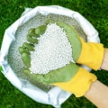 Fertilizers for Trees: A Comprehensive Overview