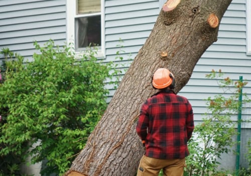 Cutting Down Trees in Small Spaces