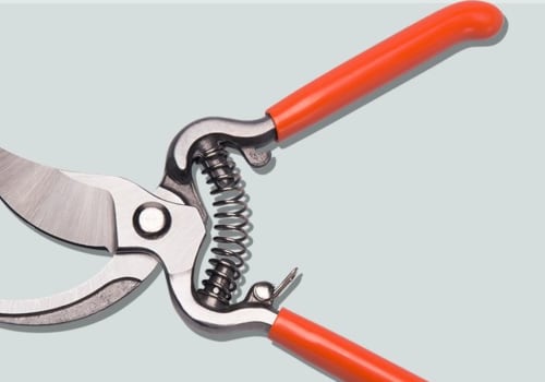 Pruners and Shears: A Comprehensive Overview
