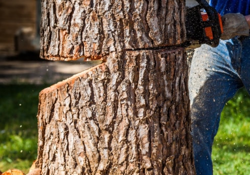 Factors Affecting Tree Cutting Costs