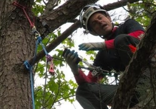 Climbing and Rigging Equipment for Tree Removal