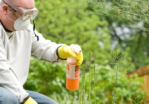 Insecticides for Trees: What You Need to Know