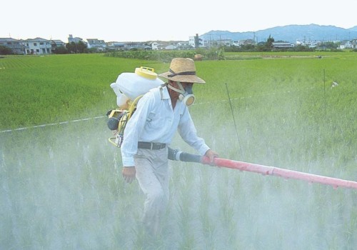 Organic Insecticides as a Treatment for Insect-Borne Diseases