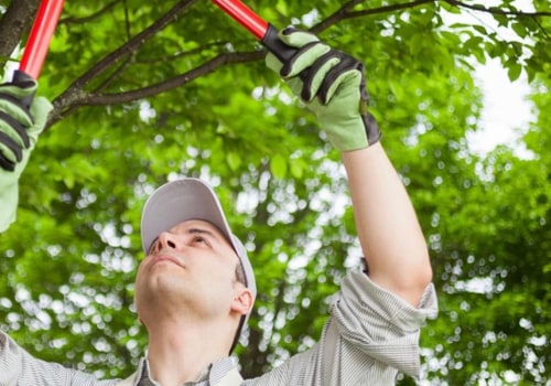 Evaluating a Tree Service Company's Work to Ensure Customer Satisfaction