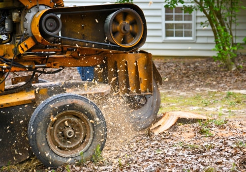 Factors That Affect Stump Grinding and Removal Costs