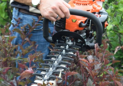 Everything You Need to Know About Hedge Trimmers