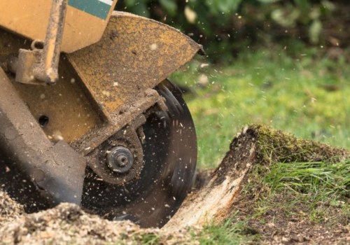 Stump Grinding and Removal: Exploring a Tree Removal Process