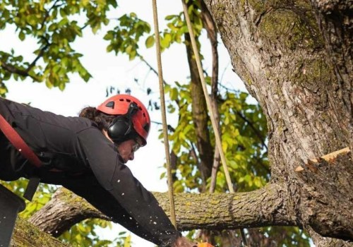 Tips for Reducing Tree Pruning Costs