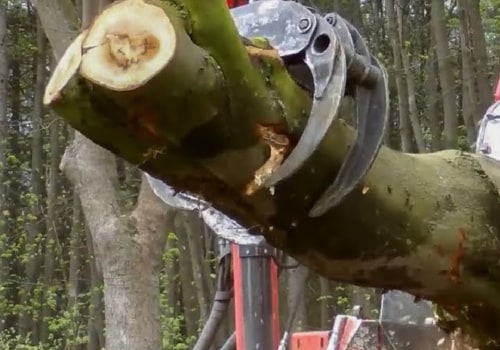 Grinding Down Stumps with a Grinder or Chipper-Shredder Machine